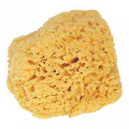 STORCH Natur-Schwamm - натуральная морская губка - Ø 10-15 cm